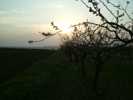 DSCF2971.JPG
