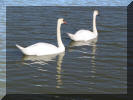 IMG_1264.JPG